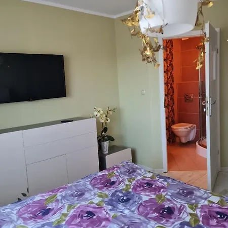 民宿 Koga Goscinne 莱鲍