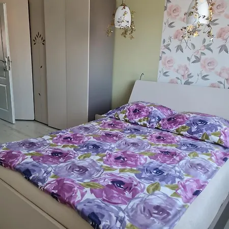 Koga Goscinne Łeba