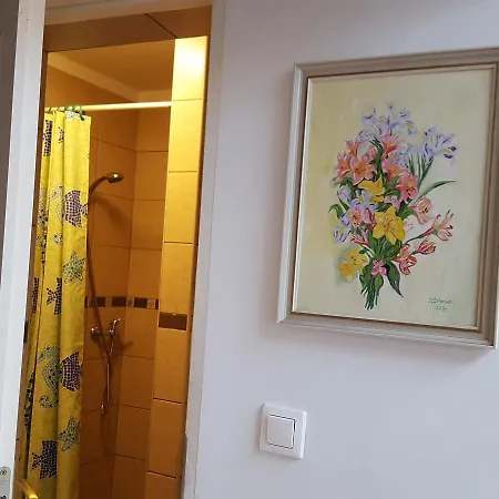 民宿 Koga Goscinne *