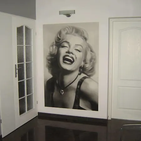 民宿 Koga Goscinne 莱鲍